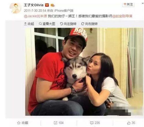 王子文微头条视频素材